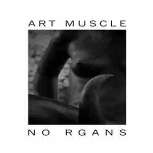Art Muscle / no rgaNs - Split mp3 album