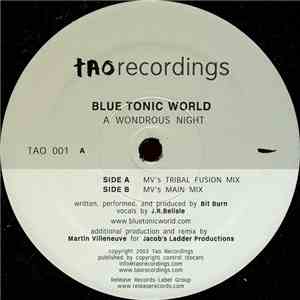 Blue Tonic World - A Wondrous Night mp3 album