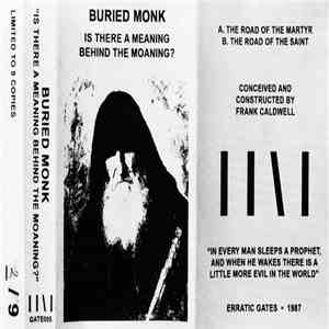 Buried Monk - Is There A Meaning Behind The Moaning? mp3 album