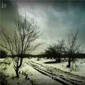Cousin Silas - Amidst Silence mp3 album