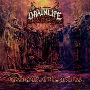 Drainlife - Revelations Of The Enslaved mp3 album