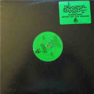 Finsta And Bundy - Sunnyside / Spirit Of The Boogie mp3 album