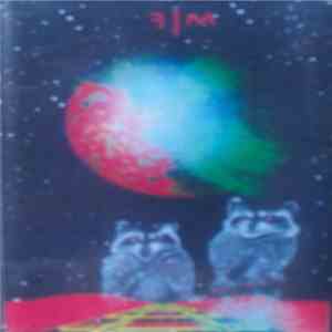 Flower Man - Punctuated Continuum Amusement Symposium mp3 album