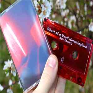 Ghost of a Dead Hummingbird - Sin forma mp3 album