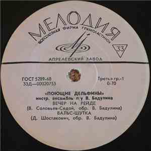 Инстр. Ансамбль «Поющие Дельфины» п/у В. Бадулина - Вечер На Рейде mp3 album