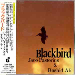 Jaco Pastorius & Rashid Ali - Blackbird mp3 album
