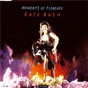 Kate Bush - Moments Of Pleasure mp3 album