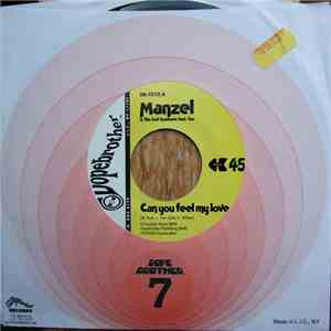Manzel & The Soul Syndicate - Can You Feel My Love mp3 album