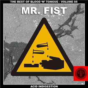 Mr. Fist - Acid Indigestion mp3 album