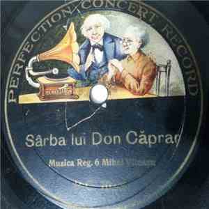 Muzica Reg. 6 Mihai Viteazu - Sârba Lui Don Căprar / Hora Berarilor mp3 album