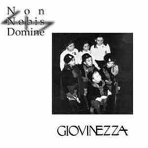 Non Nobis Domine - Giovinezza mp3 album