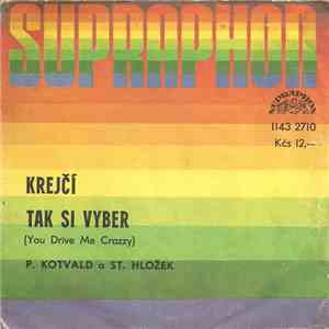 P. Kotvald a St. Hložek - Krejčí (You Drive Me Crazzy) / Tak Si Vyber mp3 album