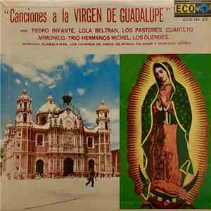 Pedro Infante, Lola Beltrán, Los Pastores, Cuarteto Armonico, Trio Hermanos Michel, Mariachi Guadalajara, Los Charros de Ameca de Roman Palomar - Canciones A La Virgen De Guadalupe mp3 album