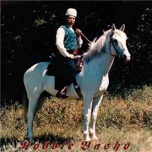 Robbie Basho - Land Of Our Fathers (Rarities 1967-1983) mp3 album