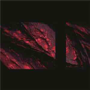 Some Science - Shapeshifters mp3 album