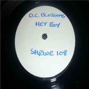 The D. C. Blossoms - Hey Boy mp3 album