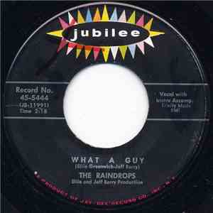 The Raindrops - What A Guy / It's So Wonderful mp3 album