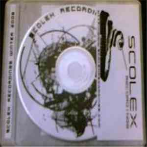 Various - Scolex Recordings Febuary 2008 Sampler mp3 album