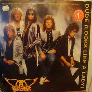Aerosmith - Dude (Looks Like A Lady) mp3 album