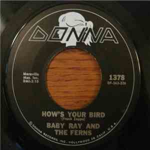 Baby Ray And The Ferns - How's Your Bird / The World's Greatest Sinner mp3 album