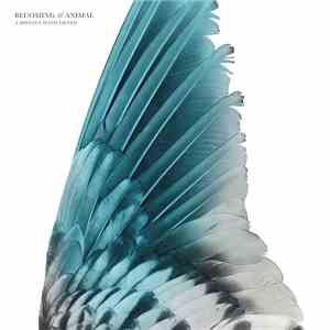 Becoming Animal . Massimo Pupillo, Gordon Sharp - A Distant Hand Lifted mp3 album