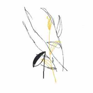 Benoit Pioulard - Slow Spark, Soft Spoke mp3 album
