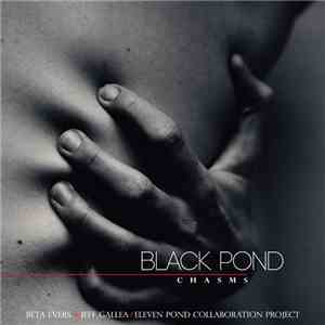 Black Pond - Chasms mp3 album