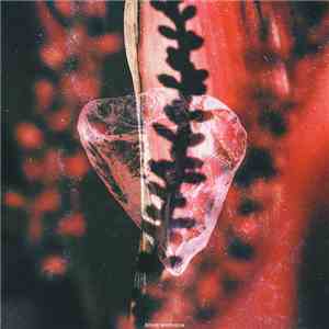 Blank Embrace - ledice mp3 album