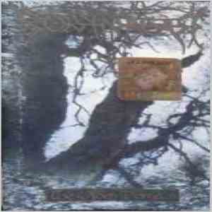 Borknagar - The Olden Domain mp3 album