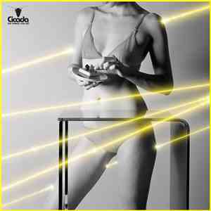Cicada - The Things You Say mp3 album