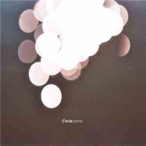 D'incise - Prairie mp3 album