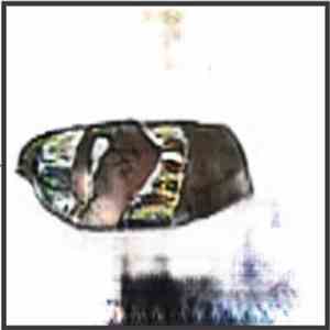 •••// •/ // •//• • •/• ••• /// /• - Field Recordings Of A Radio Wave As It Lives, Grows, And Dies mp3 album