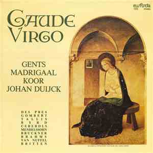 Gents Madrigaalkoor / Johan Duijck - Gaude Virgo mp3 album