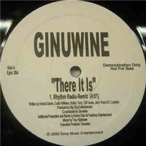 Ginuwine - There It Is mp3 album