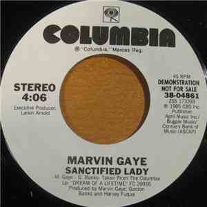 Marvin Gaye - Sanctified Lady mp3 album