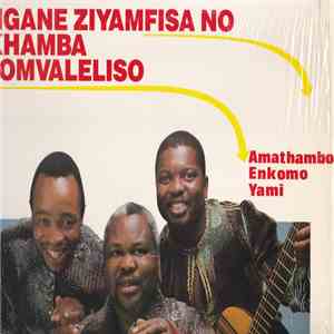 Nganeziyamfisa No Khamba Lomvaleliso - Amathambo Enkomo Yami mp3 album