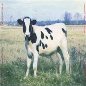 Pink Floyd - Atom Heart Moo Live mp3 album