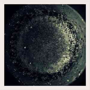 Saåad / Stray Ghost / Heinali / Koen Daigaku / Dictionary Of Ghosts - For Small Creatures Such As We mp3 album