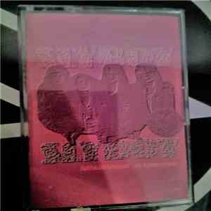 Slyboy - Brownbaggin' In Funkyland mp3 album