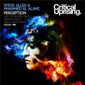 Steve Allen  & Mhammed El Alami - Perception mp3 album
