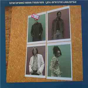 The Brand New Heavies - You Are The Universe mp3 album