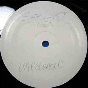 The Unreleased Project - Vol 1 - Everlasting mp3 album