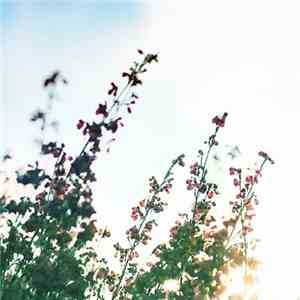 Various - Hibernate Sampler Volume 4 mp3 album