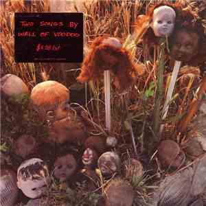 Wall Of Voodoo - Two Songs By Wall Of Voodoo mp3 album