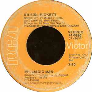 Wilson Pickett - Mr. Magic Man mp3 album