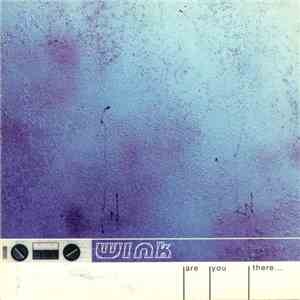 Wink - Are You There... mp3 album