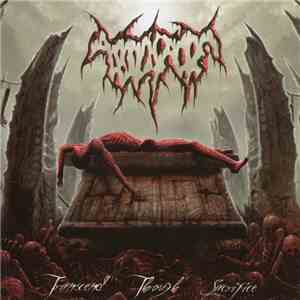 Abdicate - Transcend Through Sacrifice mp3 album