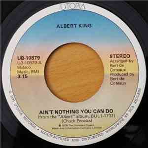 Albert King - Ain't Nothing You Can Do mp3 album