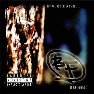 Blak Forest - You Are Now Entering The... mp3 album