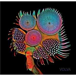 Echolot  - Volva mp3 album